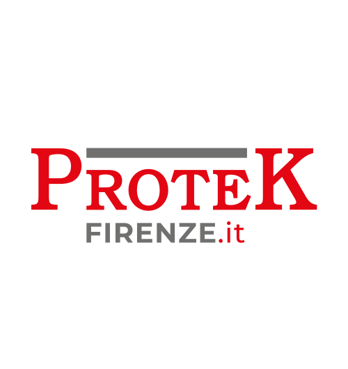 Logo di Protek